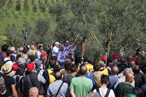 Il Successo Della Prima Edizione Di Nova Agricoltura In Oliveto Olivo