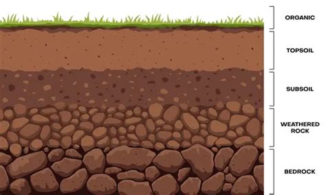 Soil Layer Infographic Earth Underground Vector Structure Cartoon