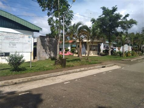 Coconut Farm Lot Oil 1000 Sq Meter Tinanbac Bicol For Sale Property