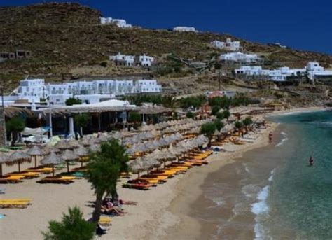 Paradise Beach Resort Mykonos in Mykonos, Greece - Book Budget Hotels with Hostelworld.com