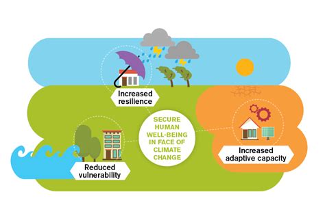 Climate Adaptation Infographics Iied Emily Sadler