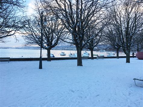 Zurich in December