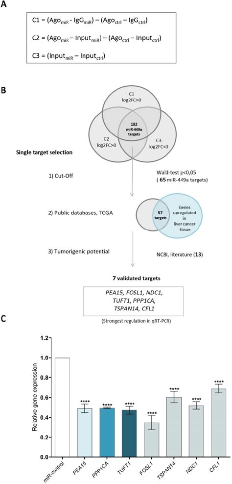 Ago Rip Sequencing Identifies New Mir A P Target Genes A