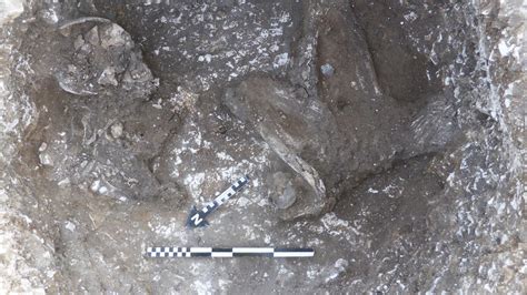 Archaeologists Unearth 4000 Year Old Bronze Age Human Remains News