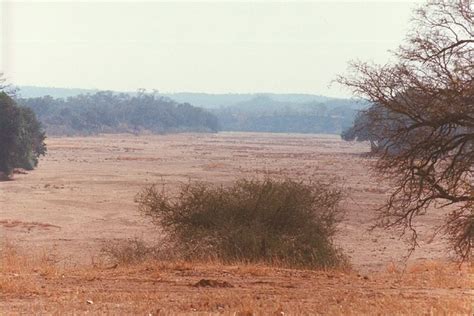 Gonarezhou National Park - Alchetron, the free social encyclopedia