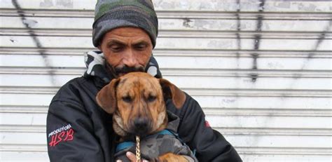 Justiça reconhece família multiespécie e devolve cão a morador de rua