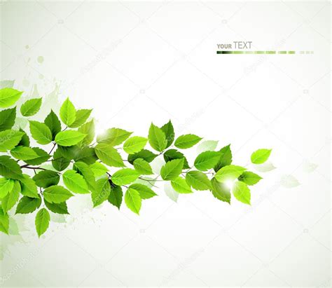 Branch With Fresh Green Leaves Stock Vector Antart 33360953