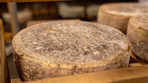 Formaggio 5 curiosità sul prodotto Fanari Formaggi