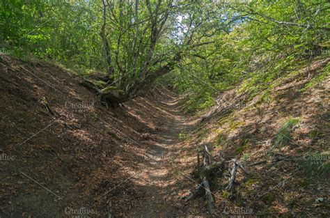 Small Ravine In Crimean Mountains High Quality Nature Stock Photos