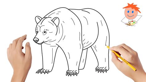 Grizzly Bear Drawing Step By Step