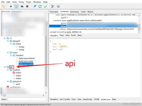 Cookie Token Sqlite Python Ubuntu