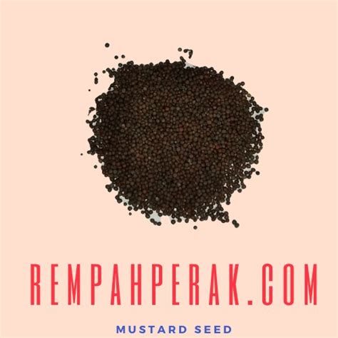 Rempahperak Mustard Seed Biji Sawi 50g 1Kg Shopee Malaysia