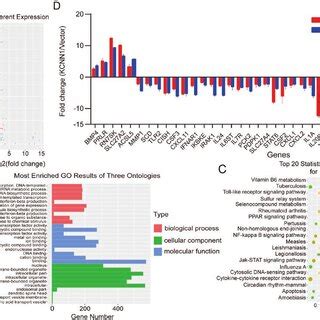 Identification Of The Key Gene Expression And Signaling Pathway