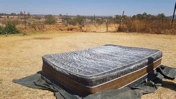 Gay Facesitting Porn Videos Clips4sale