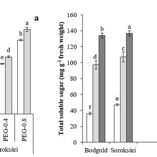 Interaction Effect Of Osmotic Potential Control 0 4 And 0 8 MPa