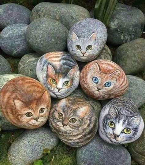 Cats On Stones Submit Your Cute Pet Here Source Bit Ly