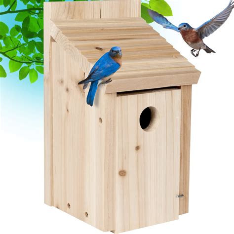 Best Raven Bird Houses For Your Garden Top Picks Hummingbirds Plus