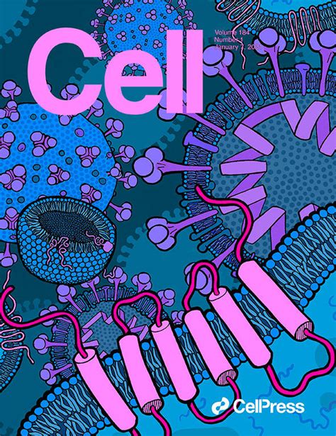 科学与艺术的结合！《cell》100张期刊封面鉴赏｜2021年篇绘图