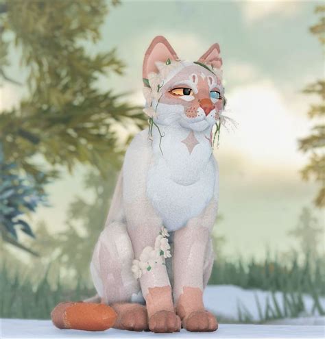 MORPH INSPO Warrior Cat Oc Warrior Cats Fan Art Warrior Cats Art