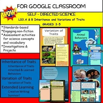 Inheritance And Variation Of Traits Grades By Saito Tpt