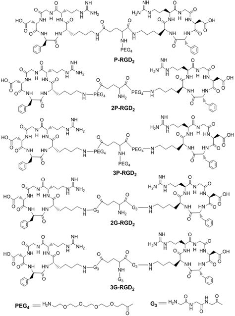 Radiolabeled Cyclic Rgd Peptides As Radiotracers For Imaging Tumors And