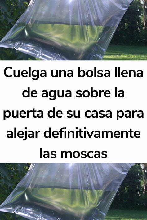 Cuelga Una Bolsa Llena De Agua Sobre La Puerta De Su Casa Para Alejar