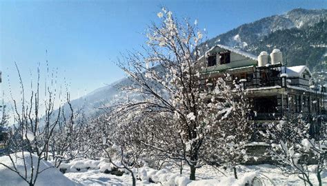 Manali Kufri Get Season S First Snowfall