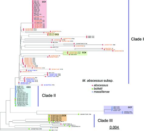 Phylogenetic Tree Of The 69 Mabc Clinical Isolates And 41 Strains With Download Scientific