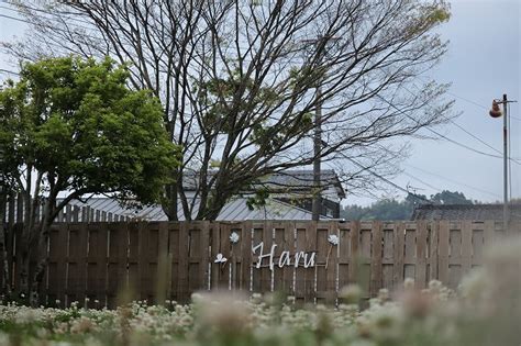 雨が降りそうです｜宮崎のドッグランはdogrun Sol