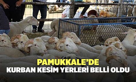 Pamukkalede Kurban Kesim Yerleri Belli Oldu Denizli Haber