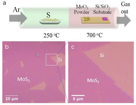 A A Schematic Of The Synthesis Of A Monolayer Mos 2 Film Using The