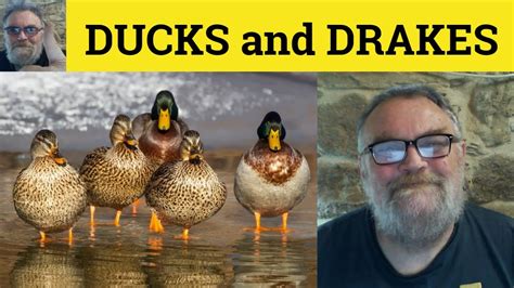 🔵 Ducks And Drakes Meaning Play Ducks And Drakes Examples Ducks And