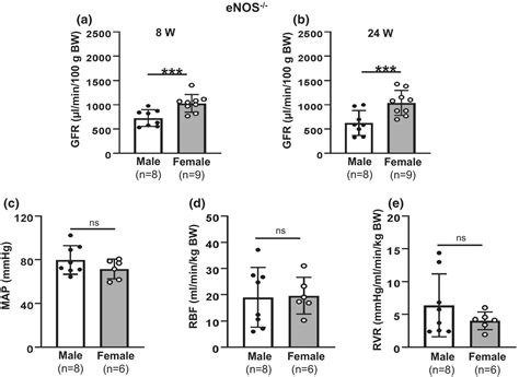 Sex And Strain Differences In Renal Hemodynamics In Mice Tao