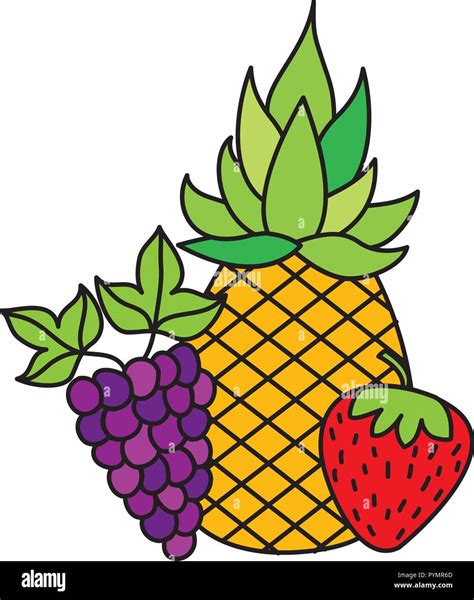 Fruits Fresh Organic Stock Vector Image And Art Alamy