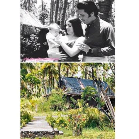 Then & Now - Back in 1968 Elvis & Priscilla stayed at the Coco Palms ...