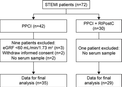 Figure 1 From Renoprotective Effect Of Remote Ischemic Postconditioning