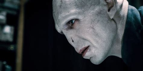 Do You Know You-Know-Who?: Facts Fans Forget About Voldemort