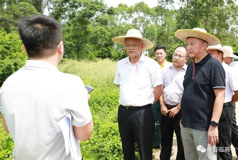 文斌深入东英国际慢城重点项目开展实地调研澎湃号·政务澎湃新闻 The Paper