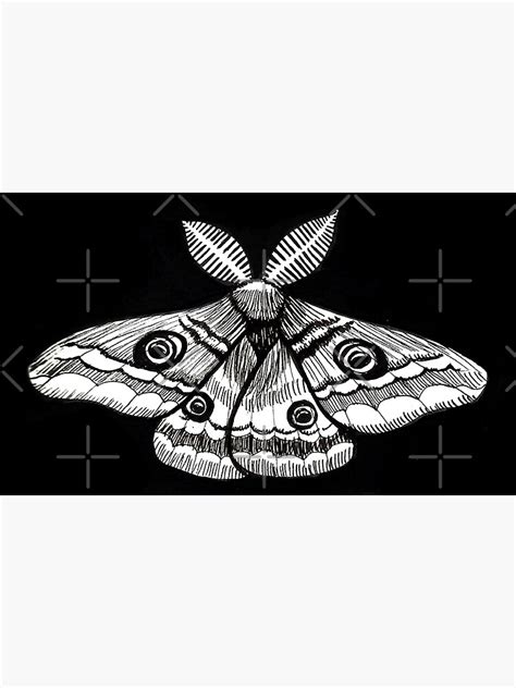 Emperor Moth Illustration Ink Drawing Gouache Sticker For Sale