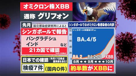 【日本初】オミクロン株の新たな変異ウイルス「xbb」 東京都内で初確認！新たな変異株“グリフォン”と“ケルベロス” 野良猫岡山のネットニュース