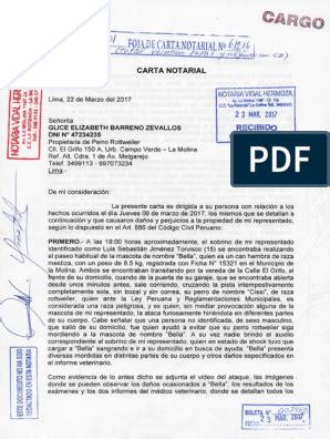 Formato De Receta Medica Para Imprimir Pdf Artofit