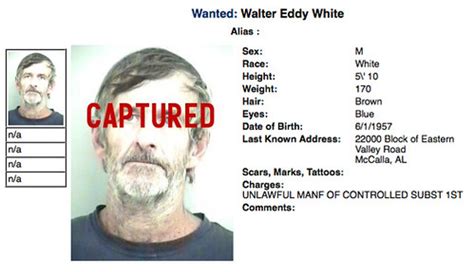 Meth Dealer Walter White Has Been Captured by Police