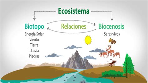 Los Ecosistemas Biolog A Y Geolog A De Eso