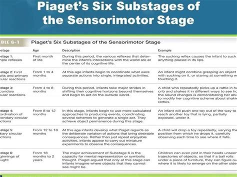 A Photo That Goes Even More In Depth On Some Substages In Piagets First Stage Of Cognitive