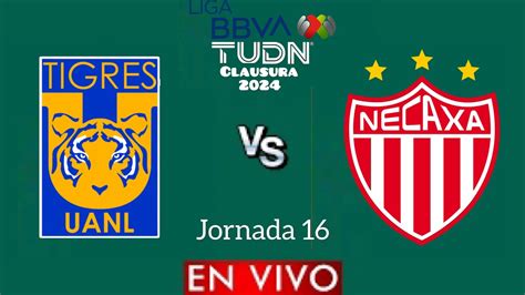 Tigres Vs Necaxa En Vivo Jornada 16 Liga Mx Clausura 2024