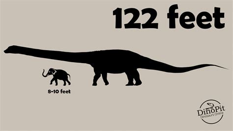 Titanosaur Size