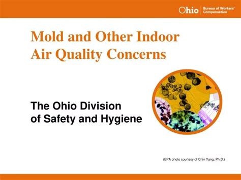 Ppt Mold And Other Indoor Air Quality Concerns Powerpoint Presentation Id 1095391