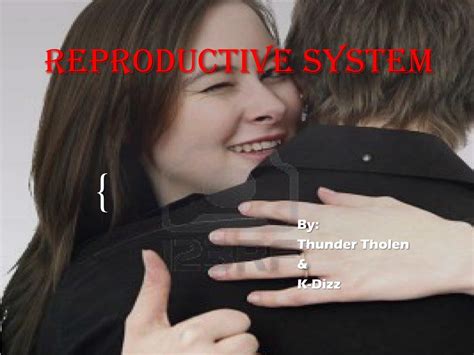 Ppt Reproductive System Powerpoint Presentation Free Download Id