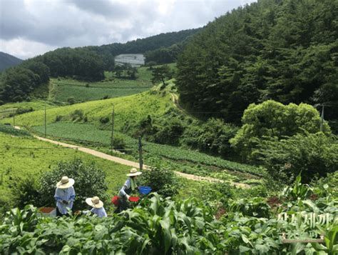 《三時三餐：山村篇》女子版登場！男神鄭雨盛登場根本「浪漫純愛電影」 三時三餐：山村篇、三時三餐女子篇、廉晶雅、尹世雅、朴素淡 影劇星聞 妞新聞 Niusnews