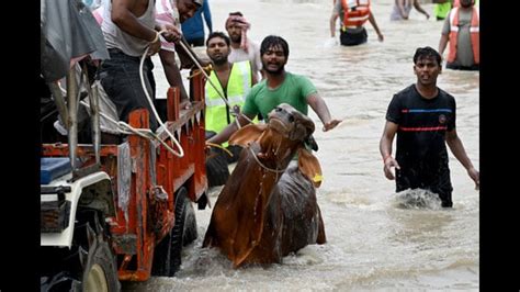 Over 3,600 people rescued from flood-affected areas of Gautam Budh Nagar - Hindustan Times